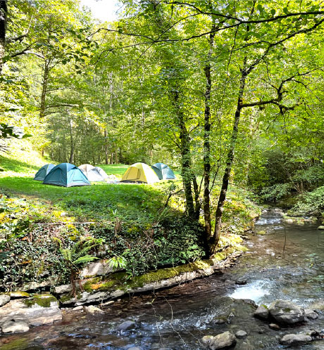 Bivouac