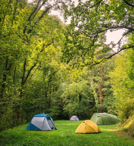 Camping Pyrénées